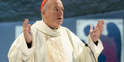 el-cardenal-mcelroy-propone-un-cambio-en-la-pastoral-hacia-la-comunidad-lgbtq-en-conferencia